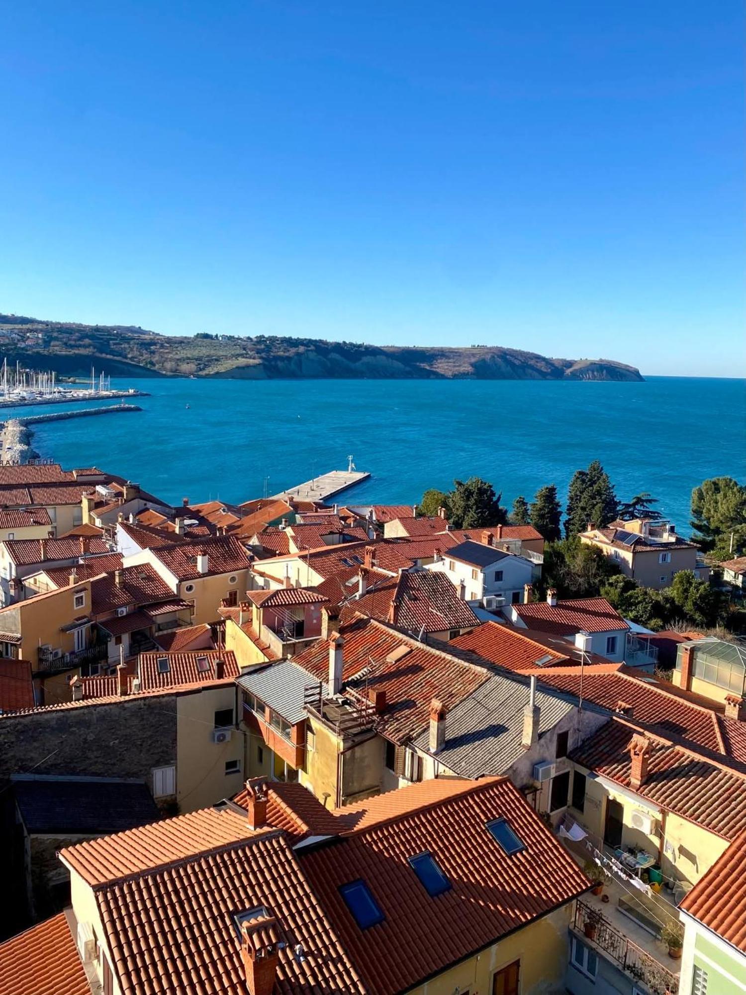 Apartma Rea Izola, Pergola & Terassa, Parking 客房 照片
