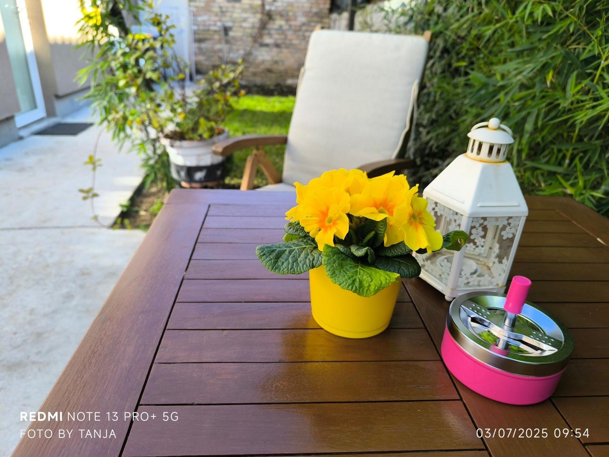 Apartma Rea Izola, Pergola & Terassa, Parking 外观 照片
